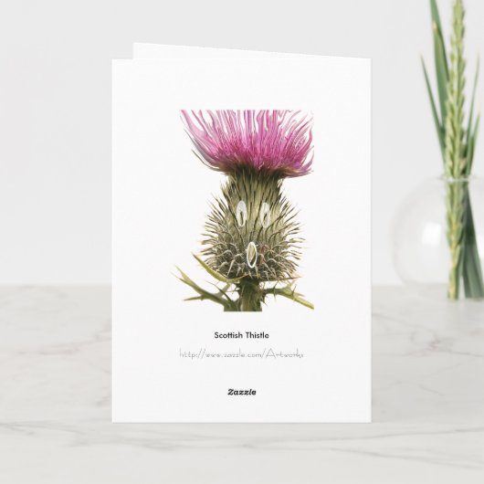 Scottish Thistle Greetings Kaart (Achterkant)