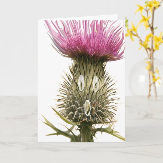 Scottish Thistle Greetings Kaart (Gele Bloem)