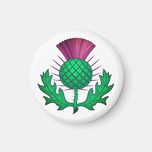 Scottish Thistle Magneet
