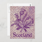 Scottish Thistle Paars Celtic Knot Briefkaart (Voorkant / Achterkant)