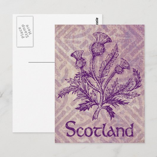 Scottish Thistle Paars Celtic Knot Briefkaart (Voorkant / Achterkant)