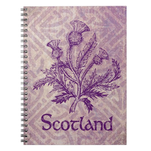 Scottish Thistle Paars Celtic Knot Notitieboek (Voorkant)