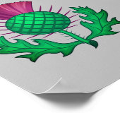 Scottish Thistle Poster (Hoek)