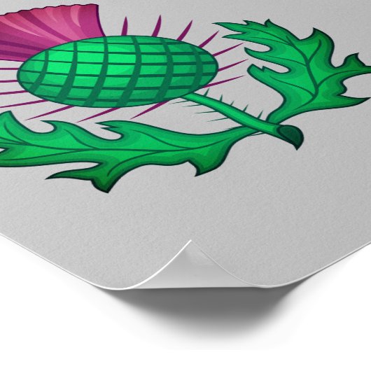 Scottish Thistle Poster (Hoek)