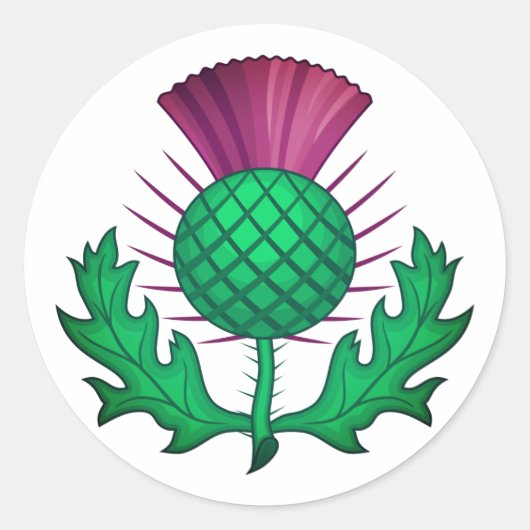 Scottish Thistle Ronde Sticker (Voorkant)
