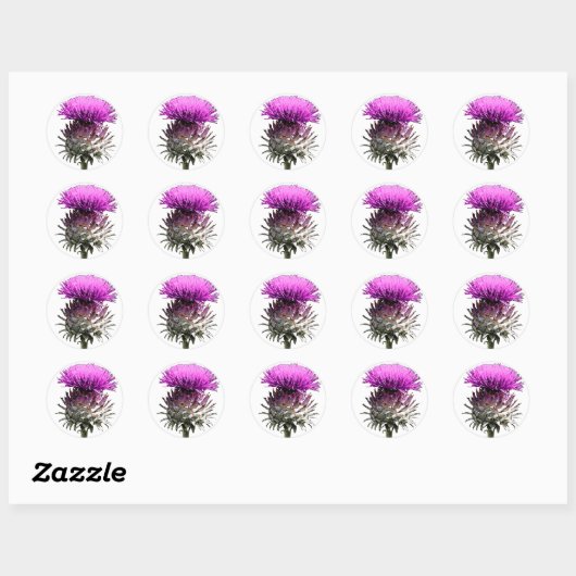 Scottish Thistle Ronde Sticker (Vel)
