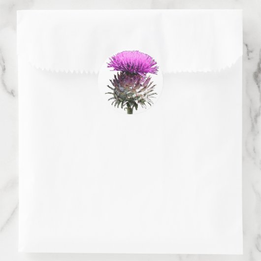 Scottish Thistle Ronde Sticker (Tas)