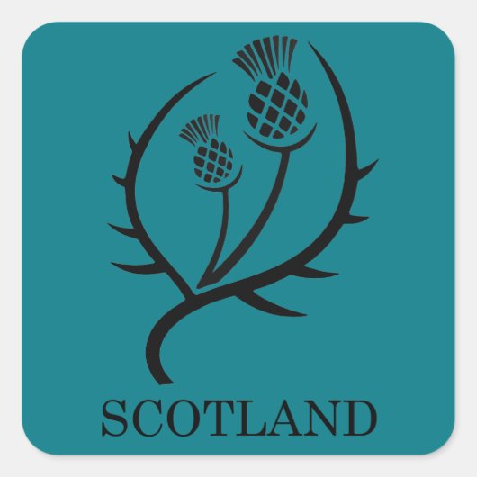 Scottish Thistle Scotland Reiscadeau Vierkante Sticker (Voorkant)