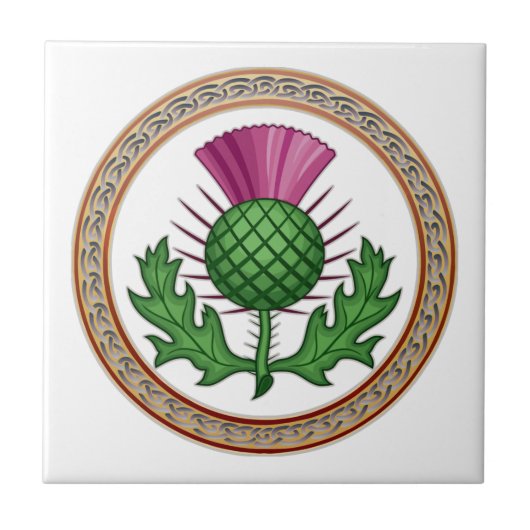Scottish Thistle Symbol Badge Tegeltje (Voorkant)