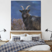 Scottish Wild Goat Canvas Afdruk (Insitu (Slaapkamer))