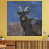 Scottish Wild Goat Canvas Afdruk (Insitu (Woonkamer))