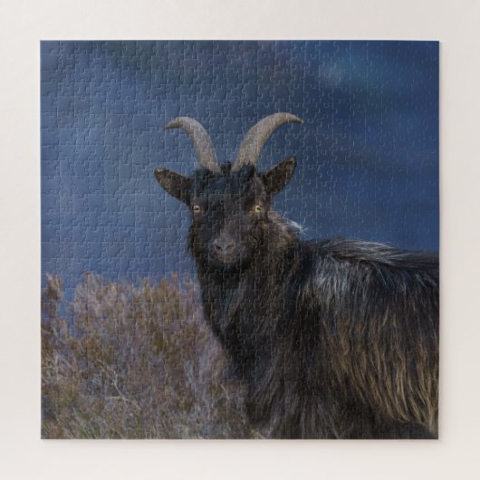 Scottish Wild Goat Legpuzzel (Verticaal)