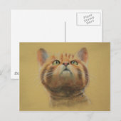 Scottish Wildcat Briefkaart (Voorkant / Achterkant)