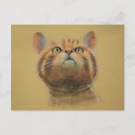 Scottish Wildcat Briefkaart (Voorkant)