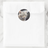 Scottish Wildcat Ronde Sticker (Tas)