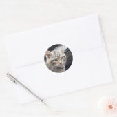 Scottish Wildcat Ronde Sticker (Envelop)