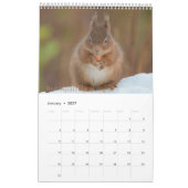 Scottish Wildlife Calendar 2022 Kalender (Jan 2027)