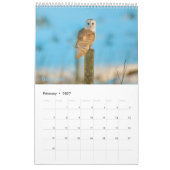 Scottish Wildlife Calendar 2022 Kalender (Feb 2027)