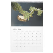 Scottish Wildlife Calendar 2022 Kalender (Mar 2026)
