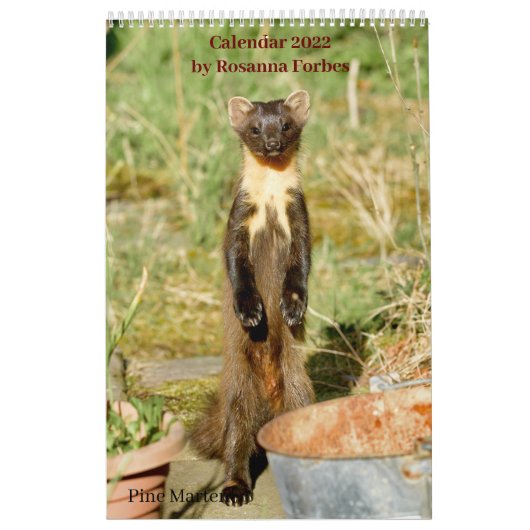Scottish Wildlife Calendar 2022 Kalender (Hoes)