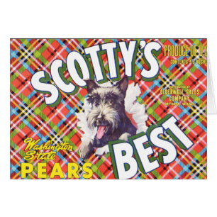 Scotts Best Pears - Fruit Crate Label