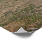 Scott's Bluff in hedendaags Nebraska Poster (Hoek)