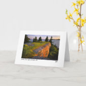 Scott's eiland richel fotokaart kaart (Gele Bloem)