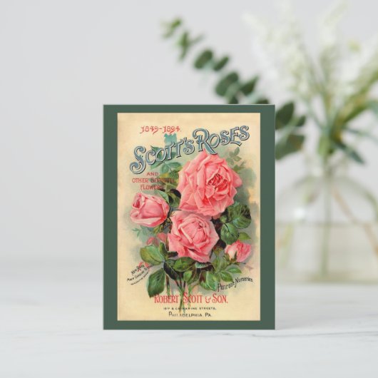 Scotts Rozen Advertisement Briefkaart (Staand voorkant)
