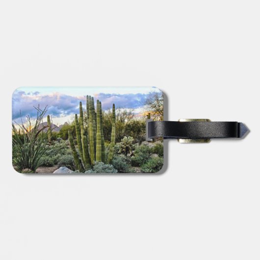 Scottsdale succulent Sunset Bagagelabel (Achterkant horizontaal)