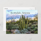 Scottsdale Succulent Sunset Briefkaart (Voorkant / Achterkant)