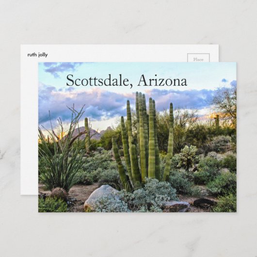 Scottsdale Succulent Sunset Briefkaart (Voorkant / Achterkant)