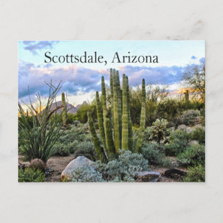 Scottsdale Succulent Sunset Briefkaart