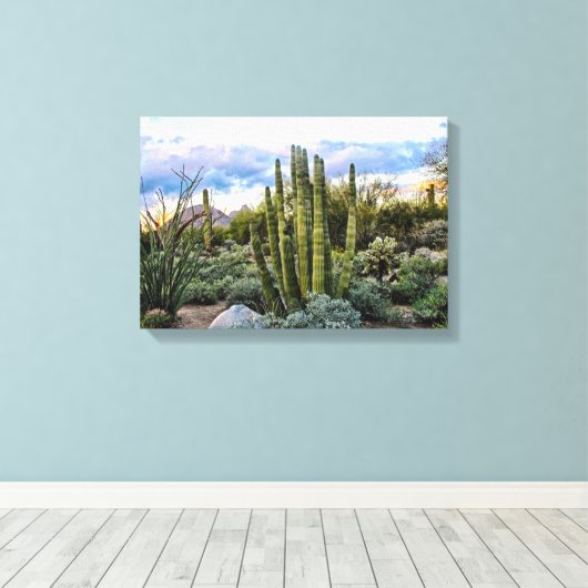 Scottsdale Succulent Sunset Canvas Afdruk (Insitu (Houten vloer))