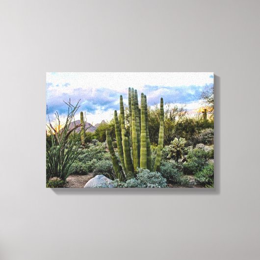 Scottsdale Succulent Sunset Canvas Afdruk (Voorkant)