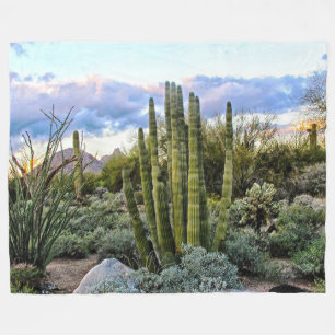 Scottsdale Succulent Sunset Fleece Deken