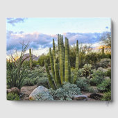 Scottsdale Succulent Sunset Gastenboek (Achterkant)