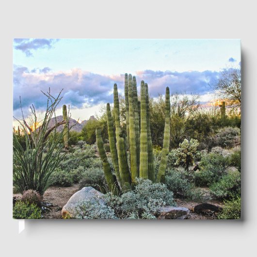 Scottsdale Succulent Sunset Gastenboek (Voorkant)