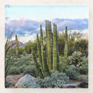 Scottsdale Succulent Sunset Glazen Onderzetter