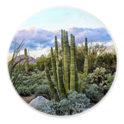 Scottsdale Succulent Sunset Keramische Knop (Voorkant)