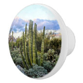 Scottsdale Succulent Sunset Keramische Knop (Rechts)