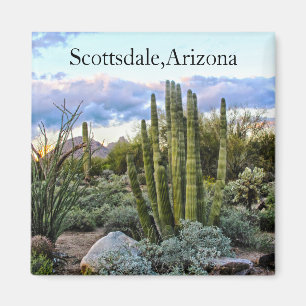 Scottsdale Succulent Sunset Magneet