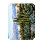 Scottsdale succulent Sunset Magneet (Verticaal)