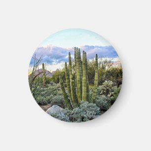 Scottsdale succulent Sunset Magneet