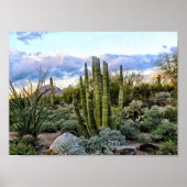 Scottsdale Succulent Sunset Poster (Voorkant)