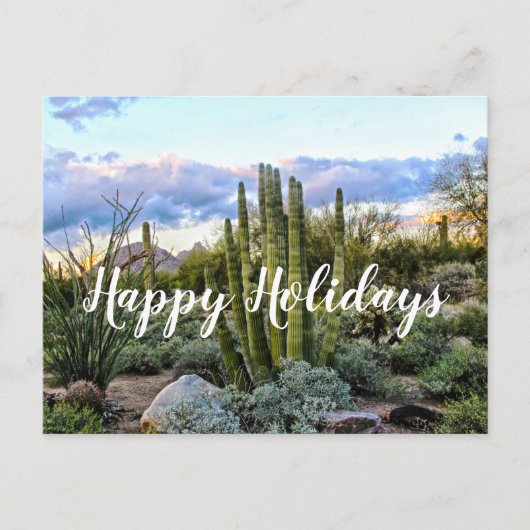 Scottsdale Succulent Sunset, Scottsdale, Arizona Briefkaart (Voorkant)