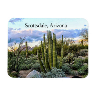 Scottsdale Succulent Sunset, Scottsdale, Arizona Magneet