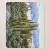 Scottsdale Succulent Sunset Sherpa Deken (Voorkant)