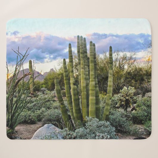 Scottsdale Succulent Sunset Sherpa Deken (Voorkant (horizontaal))