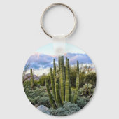 Scottsdale succulent Sunset Sleutelhanger (Voorkant)