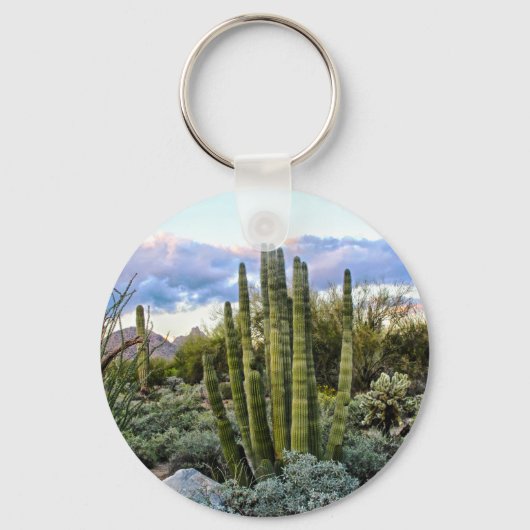 Scottsdale succulent Sunset Sleutelhanger (Voorkant)